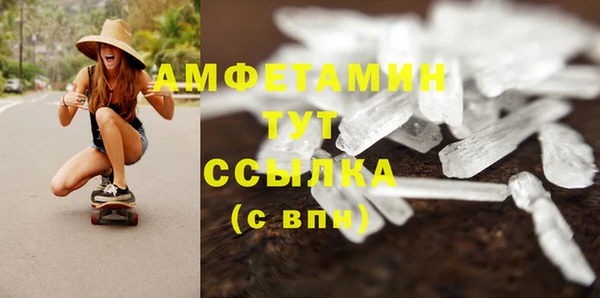стаф Аркадак