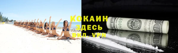 стаф Аркадак