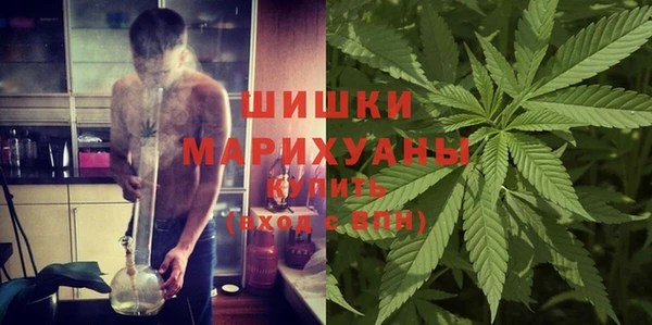стаф Аркадак