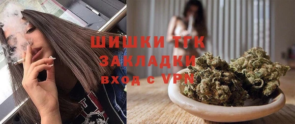 стаф Аркадак