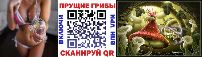 ссылка на мегу как зайти  shop Telegram  Псилоцибиновые грибы MAGIC MUSHROOMS  Новотроицк 